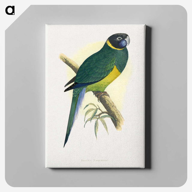 1-57_Parrots-in-Captivity_canvas