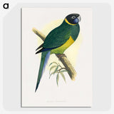 1-57_Parrots-in-Captivity_picture-crop