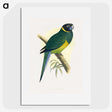 1-57_Parrots-in-Captivity_picture
