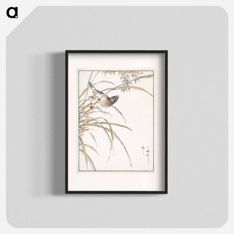 アートポスター-Japanese Grey Bunting and Rise Plant
 - 鳥類図鑑 Poster.
