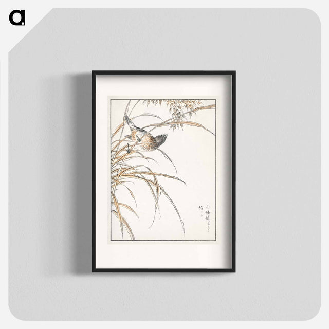 アートポスター-Japanese Grey Bunting and Rise Plant
 - 鳥類図鑑 Poster.