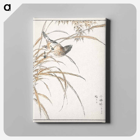 アートパネル-Japanese Grey Bunting and Rise Plant
 - 鳥類図鑑 Canvas.