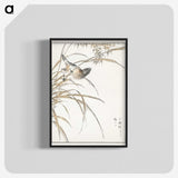 1-57_Pictorial-Monograph-of-Birds_blk-crop