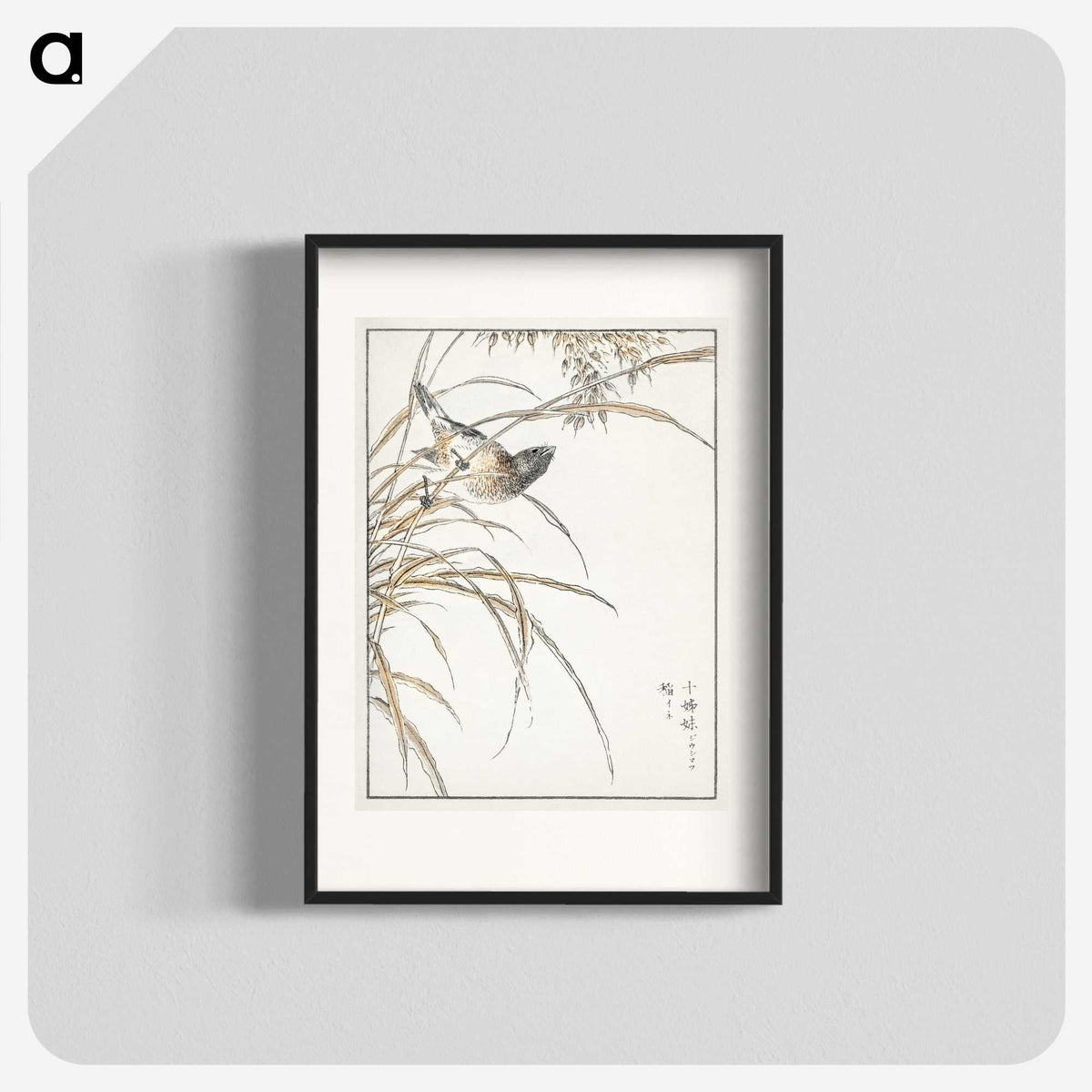 1-57_Pictorial-Monograph-of-Birds_blk