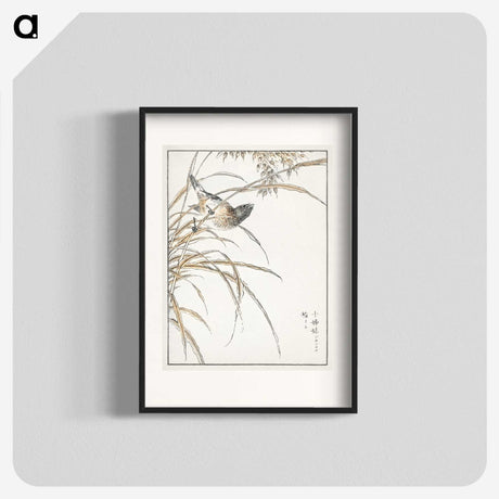 1-57_Pictorial-Monograph-of-Birds_blk