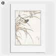 1-57_Pictorial-Monograph-of-Birds_picture