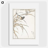 1-57_Pictorial-Monograph-of-Birds_picture