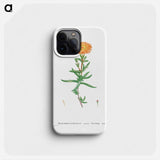 Mesembryanthemum Aureum (Golden Fig–Marigold) - Pierre Joseph Redouté Phone Case.