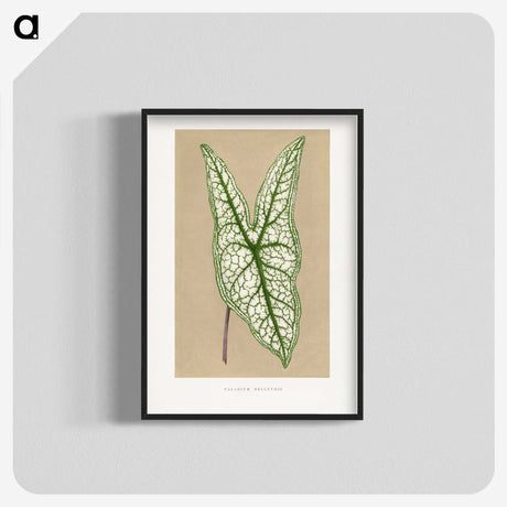 1-57_Plants-with-Colored-Foliage_blk-crop