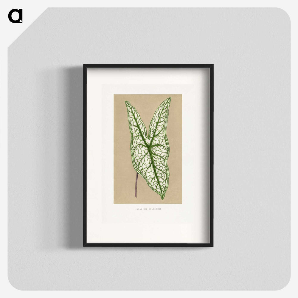1-57_Plants-with-Colored-Foliage_blk