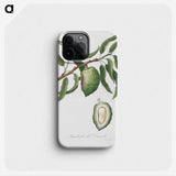 1-57_Pomona-Italiana_phone