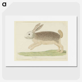 1-57_Robert-Jacob-Gordon_picture