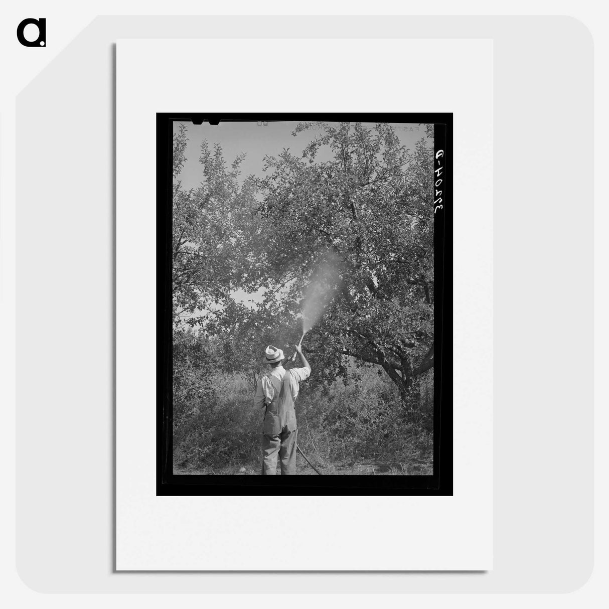1-57_Russell-Lee_picture