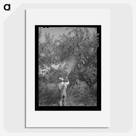 1-57_Russell-Lee_picture