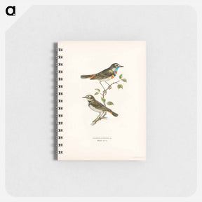 アートメモ帳-Bluethroat
 - スヴェンスカ フォグラル Memo.
