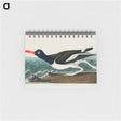 アートメモ帳-Pied oyster-catcher from Birds of America
 - アメリカの鳥たち Memo.