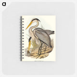 アートメモ帳-Great Grey Heron
 - オーストラリアの鳥 Memo.