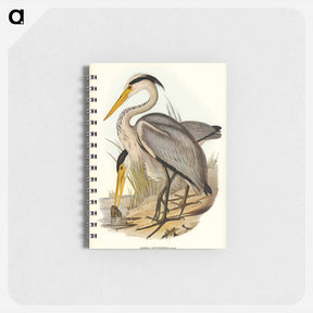 アートメモ帳-Great Grey Heron
 - オーストラリアの鳥 Memo.