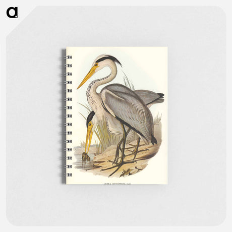 アートメモ帳-Great Grey Heron
 - オーストラリアの鳥 Memo.