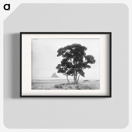 1-57_The-Burton-Brothers_blk