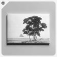 1-57_The-Burton-Brothers_canvas