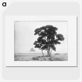 1-57_The-Burton-Brothers_picture