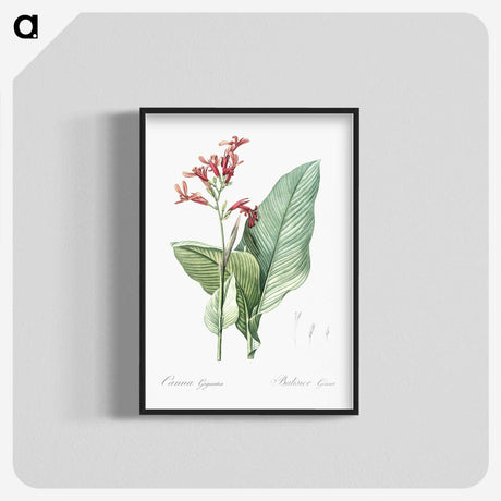 1-57_The-Lilies_blk-crop