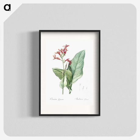 1-57_The-Lilies_blk
