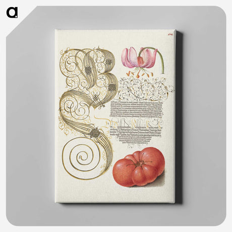 1-57_The-Model-Book-of-Calligraphy_canvas