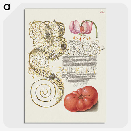 1-57_The-Model-Book-of-Calligraphy_picture-crop