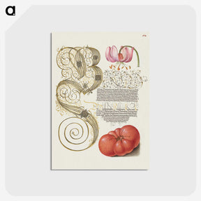 1-57_The-Model-Book-of-Calligraphy_postcard