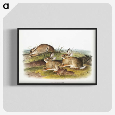 1-57_The-Viviparous-Quadrupeds_blk-crop