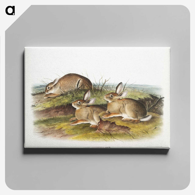 1-57_The-Viviparous-Quadrupeds_canvas