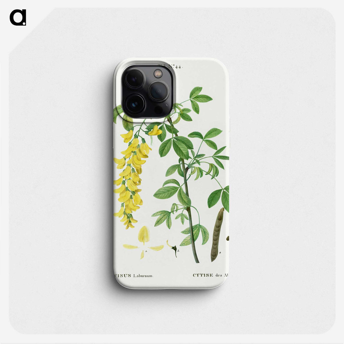 1-57_Treatise-on-Trees-and-Shrubs_phone