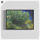 1-57_Vincent-van-Gogh_blk-crop