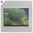 1-57_Vincent-van-Gogh_canvas