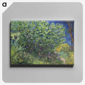 1-57_Vincent-van-Gogh_canvas