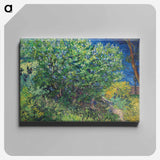 Lilac Bush - フィンセント ファン ゴッホ Canvas.