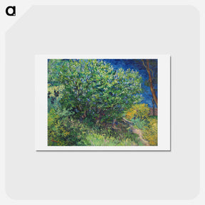アートポストカード-Lilac Bush - フィンセント ファン ゴッホ Postcard.
