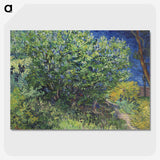 1-57_Vincent-van-Gogh_picture-crop