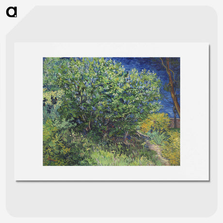 1-57_Vincent-van-Gogh_picture