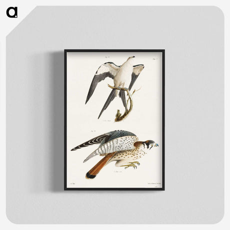 1-57_Zoology-of-New-York_blk-crop