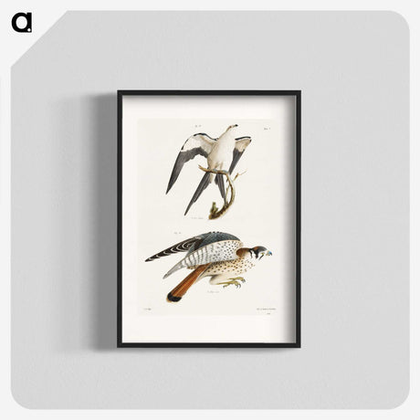1-57_Zoology-of-New-York_blk