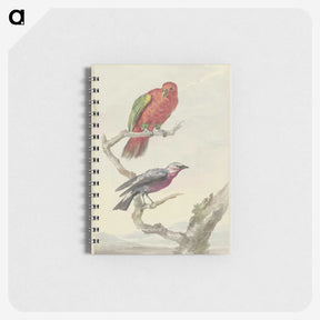 1-58_Aert-Schouman_memo