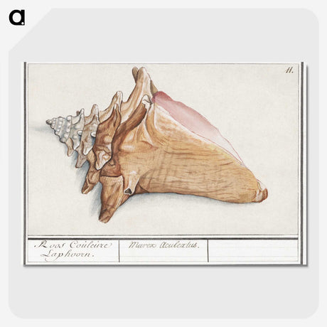 1-58_Anselmus-Boetius-de-Boodt_picture-crop