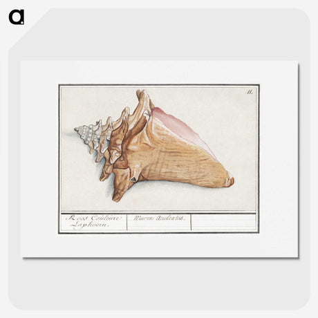 1-58_Anselmus-Boetius-de-Boodt_picture