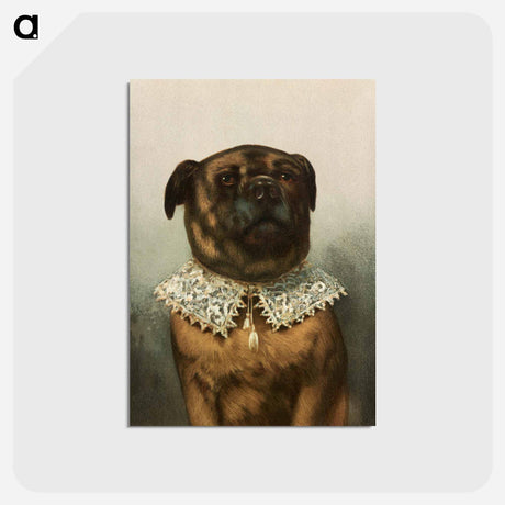 アートポストカード-Uncle Toby
 - ボストン公共図書館 Postcard.