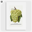 1-58_Botanical-Specimen-Plates_picture
