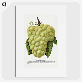 1-58_Botanical-Specimen-Plates_picture