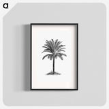 アートポスター-Palm Tree
 - 大英図書館 Poster.